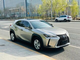 2020 Lexus UX 200 I, коричневый, 2690000 рублей, вид 1