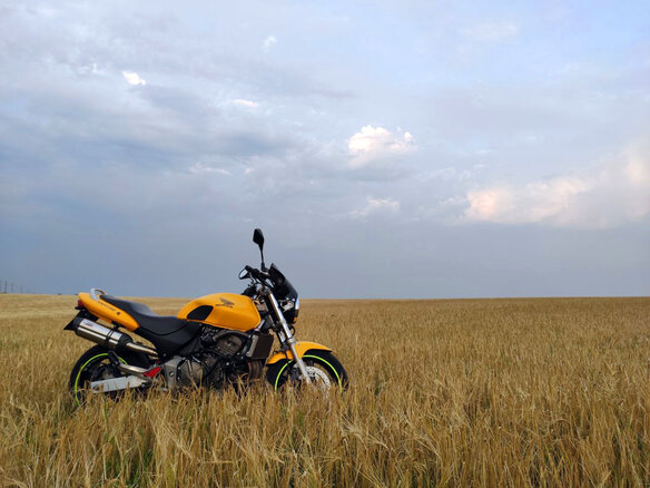 2000 Honda CB 600F Hornet, жёлтый, 339000 рублей - вид 20