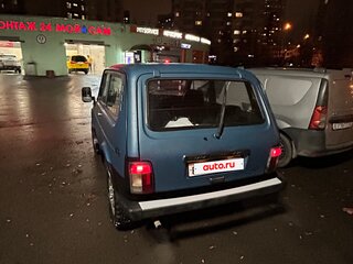 1995 Lada (ВАЗ) 2121 (4x4) I Рестайлинг, серый, 250000 рублей, вид 5