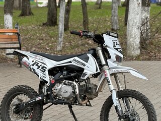 2024 Sharmax Sport, белый, 75000 рублей, вид 4