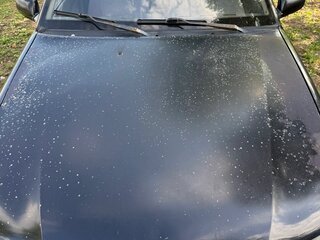 2008 Daewoo Nexia I, серый, 70000 рублей, вид 2