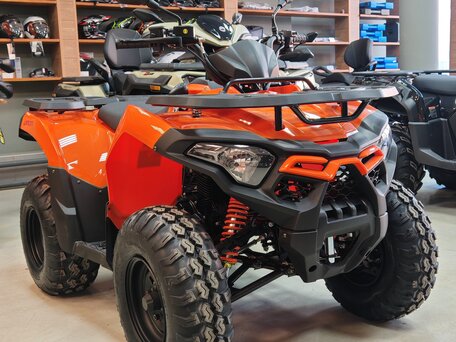 2024 Loncin XWolf 200, оранжевый, 279000 рублей, вид 1