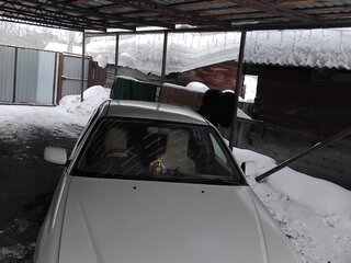 2001 Toyota Corona Premio X (T210), белый, 400000 рублей, вид 2
