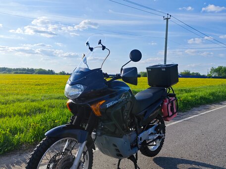2001 Honda XL650V Transalp, чёрный, 330000 рублей, вид 1