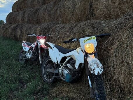 2017 Avantis FX 250, белый, 100000 рублей, вид 1