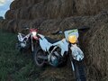2017 Avantis FX 250, белый, 100000 рублей