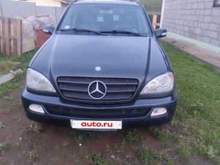 2001 Mercedes-Benz M-Класс 320 I (W163) Рестайлинг, чёрный, 700000 рублей, вид 2