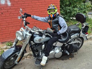 2012 Harley-Davidson Fat Boy, серый, 1580000 рублей, вид 3