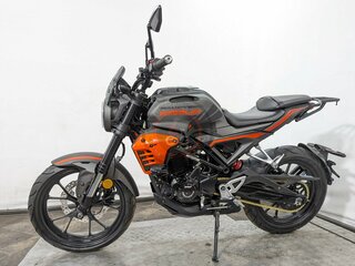 2026 Regulmoto T-Leopard 300, красный, 237000 рублей, вид 2