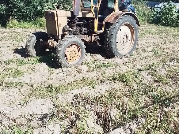 1984 ЛТЗ Т-40АМ, жёлтый, 600000 рублей - вид 3