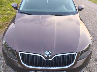 2016 Skoda Octavia III (A7), коричневый, 1750000 рублей, вид 4