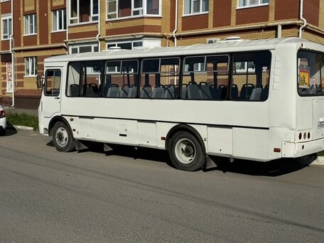 2023 ПАЗ 4234, белый, 2750000 рублей, вид 2