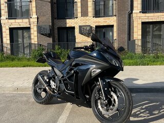 2013 Kawasaki Ninja 300, чёрный, 395000 рублей, вид 1