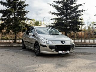 2006 Peugeot 307 I Рестайлинг, серый, 280000 рублей, вид 1