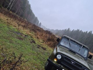 1982 УАЗ 469Б, зелёный, 250000 рублей, вид 3