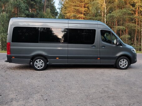 2021 Mercedes-Benz Sprinter, серый, 8195000 рублей, вид 4