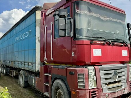 2003 Renault Magnum, красный, 3000000 рублей, вид 1