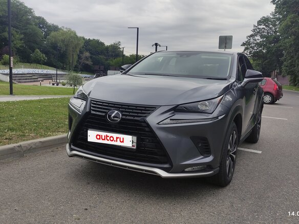 2021 Lexus NX 300h I Рестайлинг, серый - вид 20