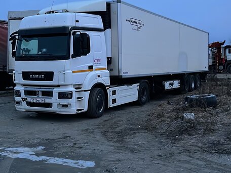 2015 КамАЗ 5490 NEO, белый, 1400000 рублей, вид 2