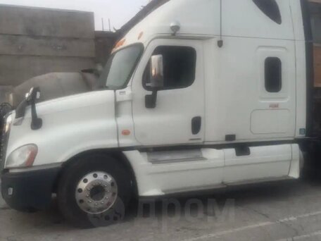 2009 Freightliner Cascadia, белый, 3350000 рублей, вид 2