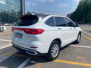 2021 Haval M6 Plus II, белый, 1250000 рублей, вид 5