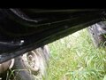 2000 Lada (ВАЗ) 21099, зелёный, 160000 рублей - вид 10