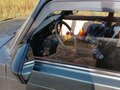2010 Lada (ВАЗ) 2107, синий, 155000 рублей - вид 11