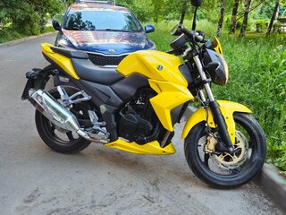 2012 Sym Wolf T2, жёлтый, 165000 рублей, вид 4