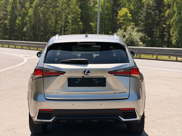 2019 Lexus NX 300h I Рестайлинг, серебристый, 3550000 рублей - вид 1