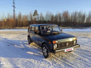 2010 Lada (ВАЗ) 2131 (4x4) Рысь I, серый, 400000 рублей, вид 5