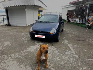 2003 Ford KA I, синий, 320000 рублей, вид 1