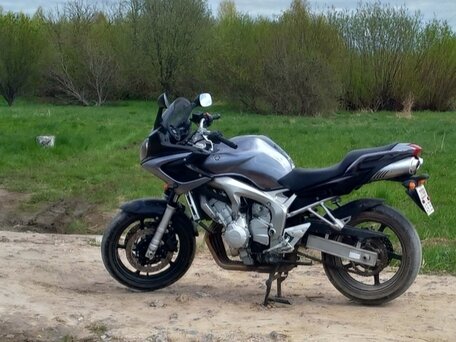 2008 Yamaha FZS600 Fazer, серебристый, 550000 рублей, вид 1