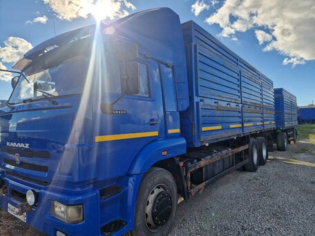 2020 КамАЗ 65117, синий, 2600000 рублей, вид 2