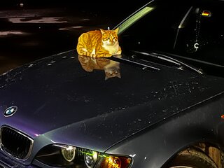 2002 BMW 3 серии 318i IV (E46) Рестайлинг, голубой, 650000 рублей, вид 1