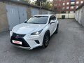 2019 Lexus NX 200 I Рестайлинг, белый, 3600000 рублей - вид 1