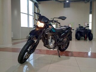 Kawasaki KLX 300