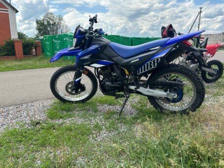 2020 Racer RC300B-F Panther PRO, синий, 143000 рублей, вид 3