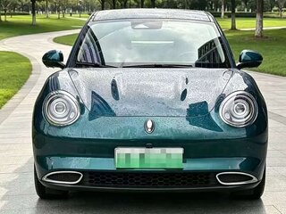 2023 Ora Good Cat 47.8 kWh I, зелёный, 1550000 рублей, вид 2
