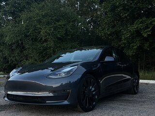 2021 Tesla Model 3 Performance I, серый, 3000000 рублей, вид 1