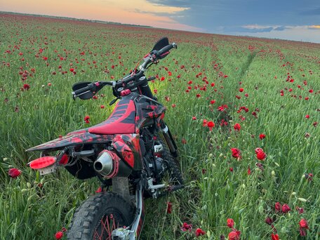 2025 MMZ 06 Pro, красный, 90000 рублей, вид 1