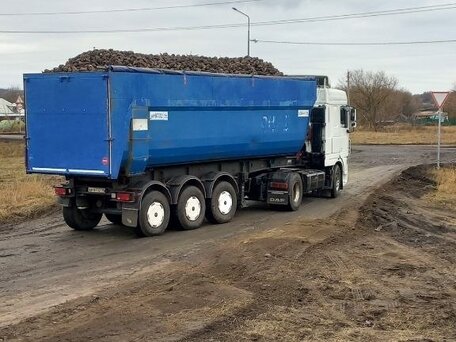 2004 DAF 95XF, белый, 2700000 рублей, вид 4