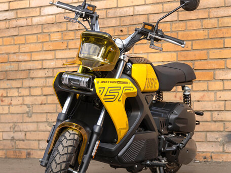 2026 Lucky Duck MegaDuck MGD150, жёлтый, 224990 рублей, вид 2