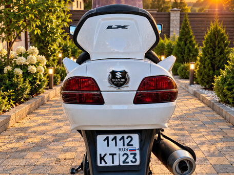 2002 Suzuki SV 650, белый, 350000 рублей, вид 4