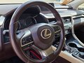 2019 Lexus RX 300 IV, красный, 4955000 рублей - вид 10