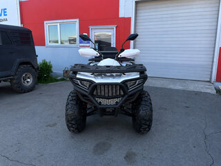 2026 Bashan Explorer 320, серый, 422500 рублей, вид 4