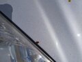 2007 Kia Carens II (UN), серебристый, 1100000 рублей - вид 11