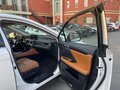 2021 Lexus RX 300 IV Рестайлинг, белый - вид 7