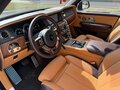 2019 Rolls-Royce Cullinan I (Series I), коричневый - вид 5
