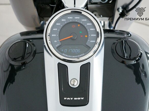 2017 Harley-Davidson Fat Boy, чёрный, 1847000 рублей - вид 11