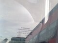2017 MAN TGX, белый, 4075000 рублей - вид 5
